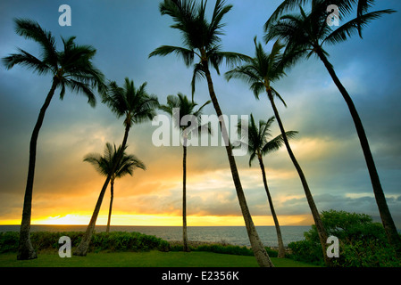 Tramonto e palme. Maui, Hawaii Foto Stock