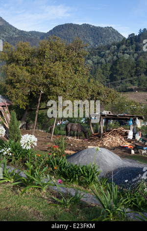 Il paesaggio pastorale nel villaggio di Macheros - Macheros, Donato Guerra, Stato del Messico, Messico Foto Stock