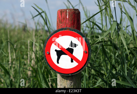 Non sono ammessi cani sign.tenere animali domestici lontano Foto Stock