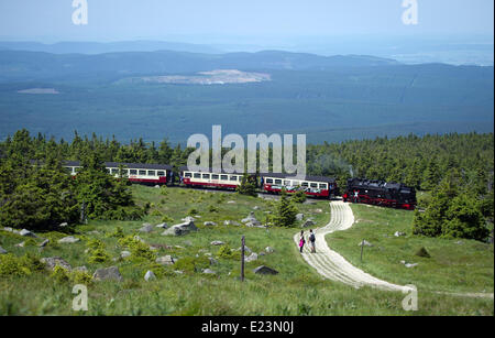 Schierke, Germania. 8 Giugno, 2014. Un treno a vapore del locale treno turistico operatore 'Harzer Schmalspurbahn' (Harz Narrow Gauge Railways) viaggio attraverso una campagna estiva sulla strada verso il monte Brocken nella regione di Harz vicino a Schierke, Germania, 8 giugno 2014. Foto: Daniel Naupold/dpa/Alamy Live News Foto Stock