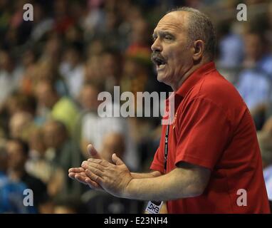 Magdeburg, Germania. 14 Giugno, 2014. Testa macedone Risto pullman Magdinchev reagisce durante la pallamano Campionato Europeo match di qualificazione tra la Germania e la Macedonia a Getec Arena a Magdeburgo, in Germania, il 14 giugno 2014. Foto: Jens Wolf/dpa/Alamy Live News Foto Stock