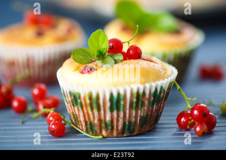 Formaggio muffin con ribes rosso e rametto di menta Foto Stock