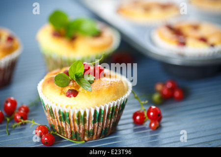 Formaggio muffin con ribes rosso e rametto di menta Foto Stock