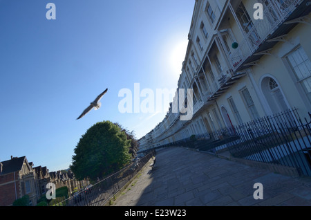 Royal York Crescent con seagull visitatore, Clifton Bristol England Regno Unito Foto Stock