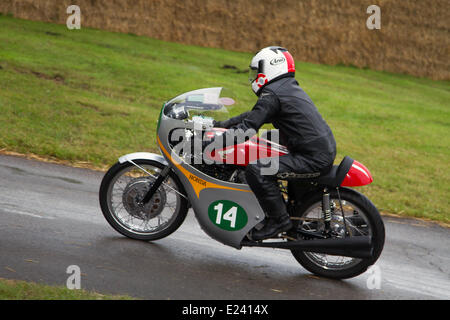 Cholmondeley, Cheshire, Regno Unito 15 Giugno 2014. No.14 Honda RC165 Race Replica Brian Glover al Cholmondeley Pageant di potenza. L'azione è a 1.2-miglio via entro il parco di Cholmondeley Castle dove oltre 120 veicoli e biciclette a competere, spanning sette decenni di Motorsports. Il fine settimana è una delle più grandi feste di potenza e velocità nel paese. Foto Stock