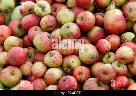 Sidro di mele Foto Stock