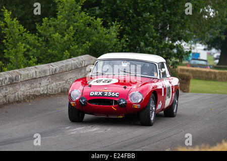 1964 MGB a Cholmondeley, Cheshire, Regno Unito 15 Giugno 2014. No.48 Race Car pilotato da Richard Butterfield all'Cholmondeley Pageant di potenza. L'azione è a 1.2-miglio via entro il parco di Cholmondeley Castle dove oltre 120 automobili competere, spanning sette decenni di Motorsports. Il fine settimana è una delle più grandi feste di potenza e velocità nel paese. Foto Stock