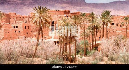 Vista la tradizionale Ksour e casbah sulle rive del Wadi Todra a Tinerhir, Marocco, Africa del Nord. Foto Stock