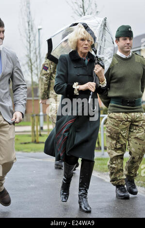 Camilla, duchessa di Cornovaglia visiti il mozzo al Ward Caserme e Bulford camp durante una visita al 4° Battaglione, fucili, nel Wiltshire. La duchessa è visitare il battaglione durante la loro fase di pre-implementazione e formazione vedrà alcuni mission-formazione specifica, aprire gli ufficiali' Mess e unire i soldati e le loro famiglie ad una reception offre: Camilla,Duchessa di Cornovaglia dove: Bulford, Wiltshire, Regno Unito quando: 29 Gen 2013 Foto Stock