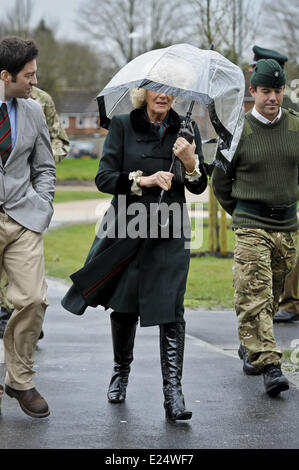 Camilla, duchessa di Cornovaglia visiti il mozzo al Ward Caserme e Bulford camp durante una visita al 4° Battaglione, fucili, nel Wiltshire. La duchessa è visitare il battaglione durante la loro fase di pre-implementazione e formazione vedrà alcuni mission-formazione specifica, aprire gli ufficiali' Mess e unire i soldati e le loro famiglie ad una reception offre: Camilla,Duchessa di Cornovaglia dove: Bulford, Wiltshire, Regno Unito quando: 29 Gen 2013 Foto Stock