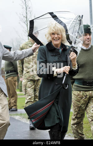 Camilla, duchessa di Cornovaglia visiti il mozzo al Ward Caserme e Bulford camp durante una visita al 4° Battaglione, fucili, nel Wiltshire. La duchessa è visitare il battaglione durante la loro fase di pre-implementazione e formazione vedrà alcuni mission-formazione specifica, aprire gli ufficiali' Mess e unire i soldati e le loro famiglie ad una reception offre: Camilla,Duchessa di Cornovaglia dove: Bulford, Wiltshire, Regno Unito quando: 29 Gen 2013 Foto Stock