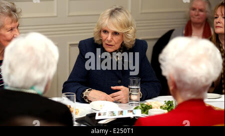 Camilla, S.A.R. la Duchessa di Cornovaglia parla con le donne che hanno servito come interruttori di codice a Bletchley Park durante la Seconda Guerra Mondiale, presso la Mansion House a Bletchley Park offre: Camilla,Duchessa di Cornovaglia dove: Milton Keynes, Regno Unito quando: 20 Feb 2013 Foto Stock