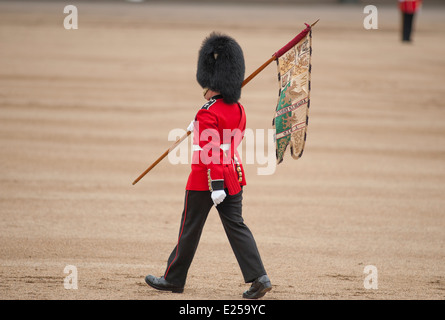 Welsh guardia sulla parata a terra presso il Queen's Birthday Parade, Trooping il colore Foto Stock