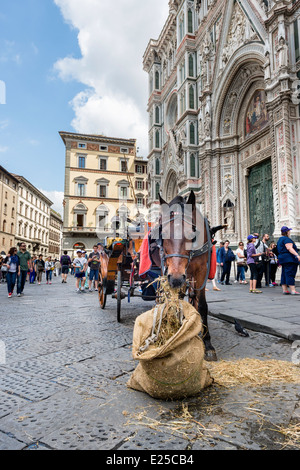 Un carrello di alimentazione del cavallo di fronte al Duomo di Firenze Foto Stock