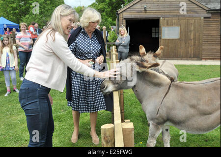 PICKWICK - UK - 3 giugno- 2013- ROTA: la duchessa di Cornovaglia con Annette Mason (sinistra) durante una visita alla Casa Middlewick in Pickwick, Wiltshire, la casa di Pink Floyd batterista Nick Mason, che è in possesso di un giardino di beneficenza open day. . Giornata delle porte aperte si terrà in aiuto del Wiltshire Bobby Van fiducia e Wiltshire Air Ambulance Charitable Trust. S Royal Rota foto di Tim Irlanda/PA/fornito da Ian Jones fotografia n. UKE VENDITE PRIMA DI 28 GIORNI /30 giugno2013 con: Camilla,Duchessa di Cornovaglia,Annette Mason dove: Wiltshire, Regno Unito quando: 2 Giu 2013 Foto Stock