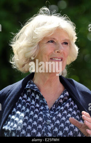 PICKWICK - UK - 3 giugno- 2013- ROTA: la duchessa di Cornovaglia durante una visita alla Casa Middlewick in Pickwick, Wiltshire, la casa di Pink Floyd batterista Nick Mason, che è in possesso di un giardino di beneficenza open day. Giornata delle porte aperte si terrà in aiuto del Wiltshire Bobby Van fiducia e Wiltshire Air Ambulance Charitable Trust. Royal Rota foto di Tim Irlanda/PA/fornito da Ian Jones fotografia n. UKE VENDITE PRIMA DI 28 GIORNI /30 giugno2013 con: Camilla,Duchessa di Cornovaglia dove: Wiltshire, Regno Unito quando: 2 Giu 2013 Foto Stock