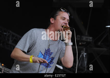 Xi Rock en Seine Music Festival a Saint Cloud con: Tomahawk dove: St Cloud, Francia Quando: 23 Ago 2013 ENN Foto Stock