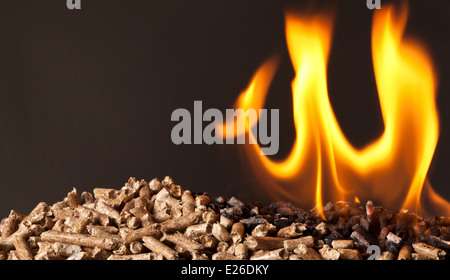 Primo piano immagine di pellet di legno Foto Stock