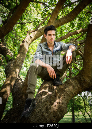 Bel giovane uomo seduto sui rami di alberi guardando verso il basso Foto Stock