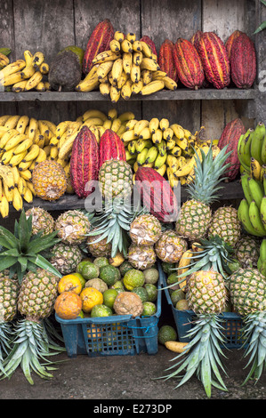 Frutto di cacao è circondato da altri frutti tropicali sul contatore dell'America Latina street market, Ecuador Foto Stock