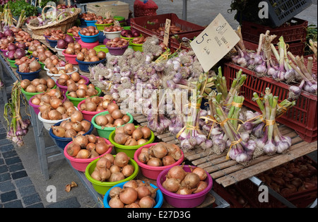 Aglio in stallo del mercato, Rennes, Brittany, Francia Foto Stock