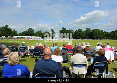 Partita di cricket tra Sussex e Yorkshire a Arundel Castle cricket ground Foto Stock