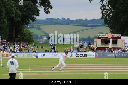 Partita di cricket tra Sussex e Yorkshire a Arundel Castle cricket ground Foto Stock