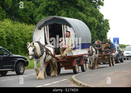 I viaggiatori in prua top cavallo e caravan in viaggio lungo la strada trafficata in West Midlands Uk / viaggiatori carro gypsy romany Foto Stock