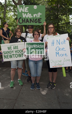 Newtown residenti presso la seconda annuale di Ponte di Brooklyn marzo Rally e alla fine della violenza pistola, 14 giugno 2014. Foto Stock