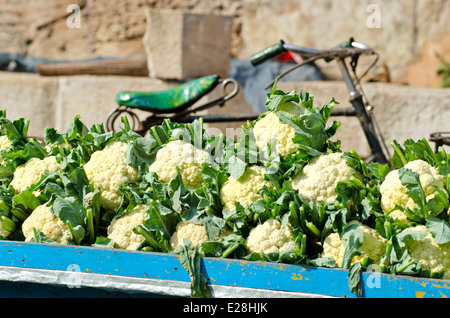 Cavolfiore fresco vegetale in Asia street market e frammento di bicicletta Foto Stock