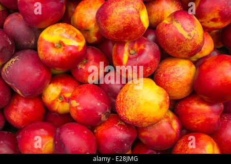 Telaio completo di prendere il fresco delle nettarine su una strada di stallo del mercato Foto Stock