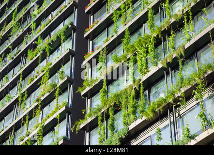 Giardino verticale ("giardino pensile") cresce in maniera molto moderna e rispettosa dell'ambiente alto edificio di appartamenti: uno CentralPark, Sydney, Australia Foto Stock