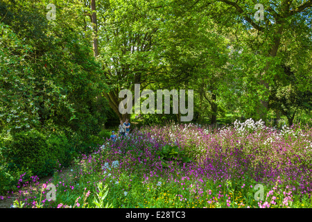 Il corrente inferiore giardino, Hidcote Manor Gardens, Hidcote Bartrim, Chipping Campden, Gloucestershire, Cotswolds, England, Regno Unito e Unione europea Foto Stock