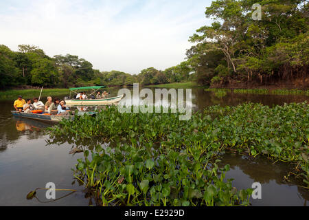 Il Brasile, Mato Grosso, Pantanal area, turisti sul Rio Cuiaba Foto Stock