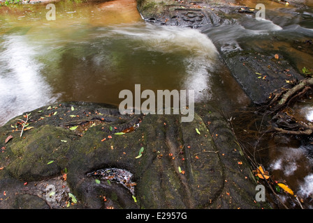 Divinità scolpito rocce di fiume. Spean Kabal. Kabal Spean è un parco di circa 60km fuori in campagna. Ho appena andato lì pensando che essa' Foto Stock