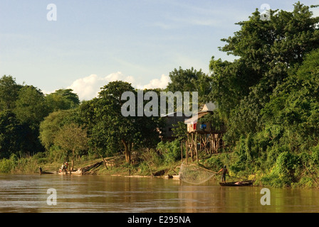 Il fiume Mekong vicino ad esempio Kampi. Cercando un po' di acqua fresca delfini Irrawaddy . Kratie. Di Irrawaddy osservare i delfini, il posto migliore per Foto Stock