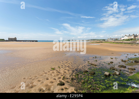Elie Beach in East Neuk di Fife Foto Stock