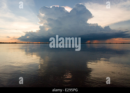 Il fiume Mekong vicino ad esempio Kampi. Cercando un po' di acqua fresca delfini Irrawaddy . Kratie. Di Irrawaddy osservare i delfini, il posto migliore per Foto Stock