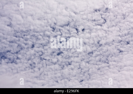La bassa altitudine cumuliform stratocumuli e formare nubi di cui all colloquialmente come "spina di pesce" o "sgombri' a Dundee, Regno Unito Foto Stock