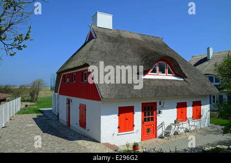 Accogliente casa vacanze con tetto di paglia Ahrenshoop Mar Baltico Foto Stock