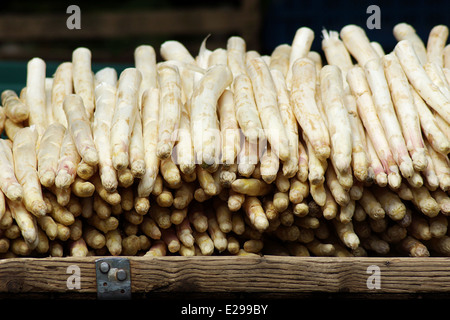 Asparagi bianchi in un mercato Foto Stock