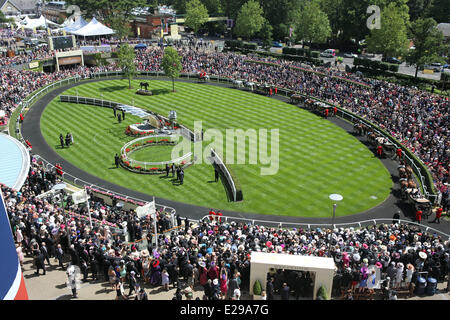 Ascot Berkshire, Regno Unito. 17 Giugno, 2014. Racegoers all'ingresso della Royal Enclosure. Ascot Racecourse. (Zuschauer, Besucher, Publikum, Aufsicht, Vogelperspektive, corteo reale, Fuehrring, Anlage, Ansicht, FŸhrring) 501D170614ROYALASCOT.JPG (c) Frank sorge il credito: Caro /Alamy Live News Foto Stock