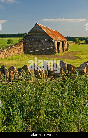 Un tipico fienile dal Costwolds sorge sul bordo di un piccolo campo,racchiusi con un secco muro di pietra. Foto Stock