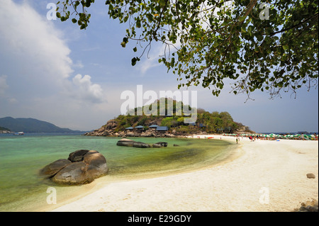 Koh Nang Yuan Koh Tao Thailandia Foto Stock