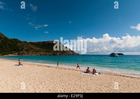 Francia, Guadalupa (Indie occidentali francesi), Saint Barthelemy, Anse de Grande spiaggia di soluzione salina Foto Stock