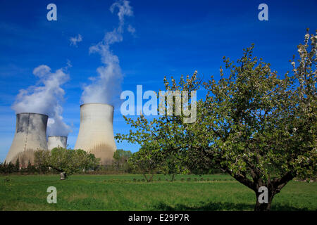 Francia, Ardeche (07), la torre di raffreddamento della centrale nucleare EDF Cruas Meysse vicino a Montelimar Foto Stock