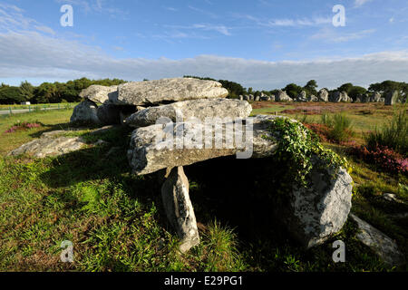 Francia, Morbihan, Carnac, sito megalitico di Menec Foto Stock