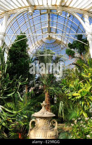 Regno Unito e Irlanda del Nord, Belfast, La Casa delle Palme presso il Giardino Botanico Foto Stock