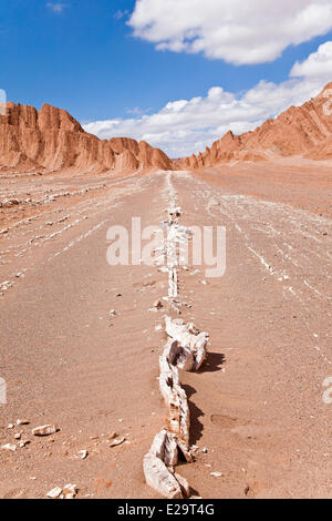 Il Cile, Antofagasta regione, il deserto di Atacama, San Pedro de Atacama, Valle della Morte Foto Stock