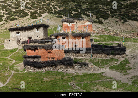 Il Nepal, Karnali zona, regione Dolpo, Shey, villaggio Foto Stock